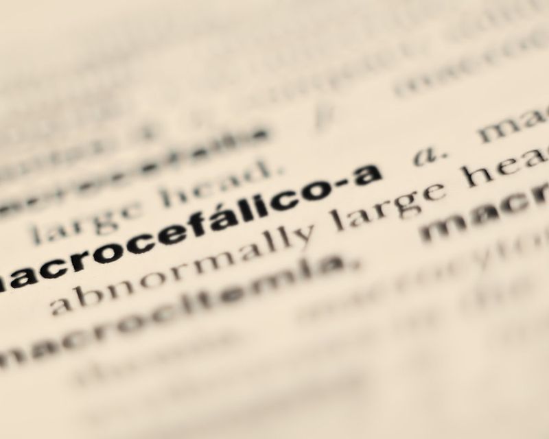 Dizionario inglese Oxford Study
