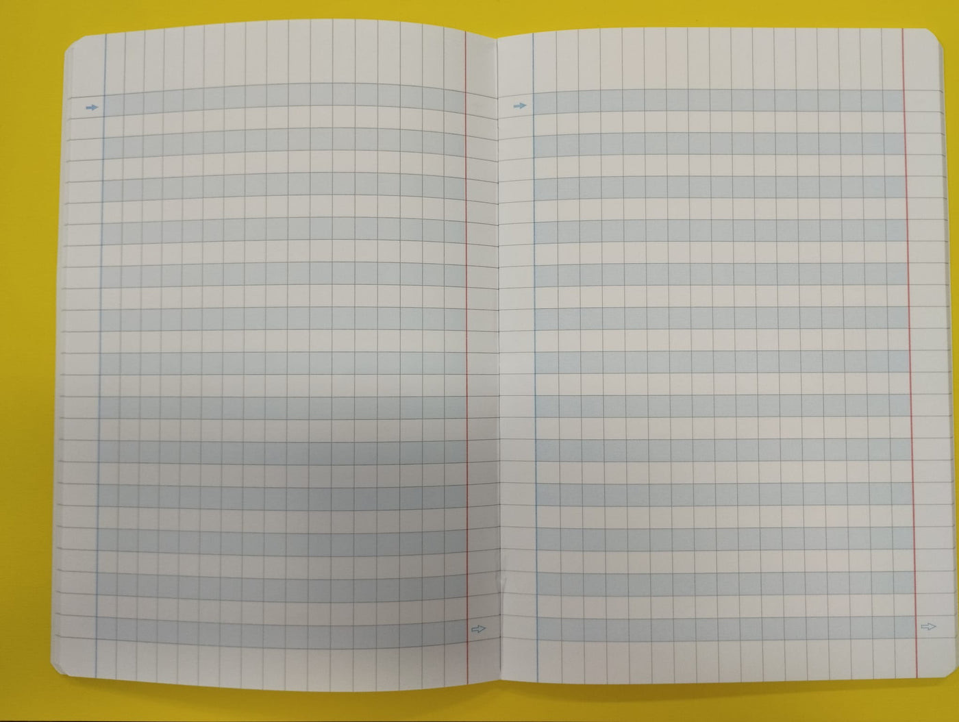 Quaderno A4 quadretti 10 mm
