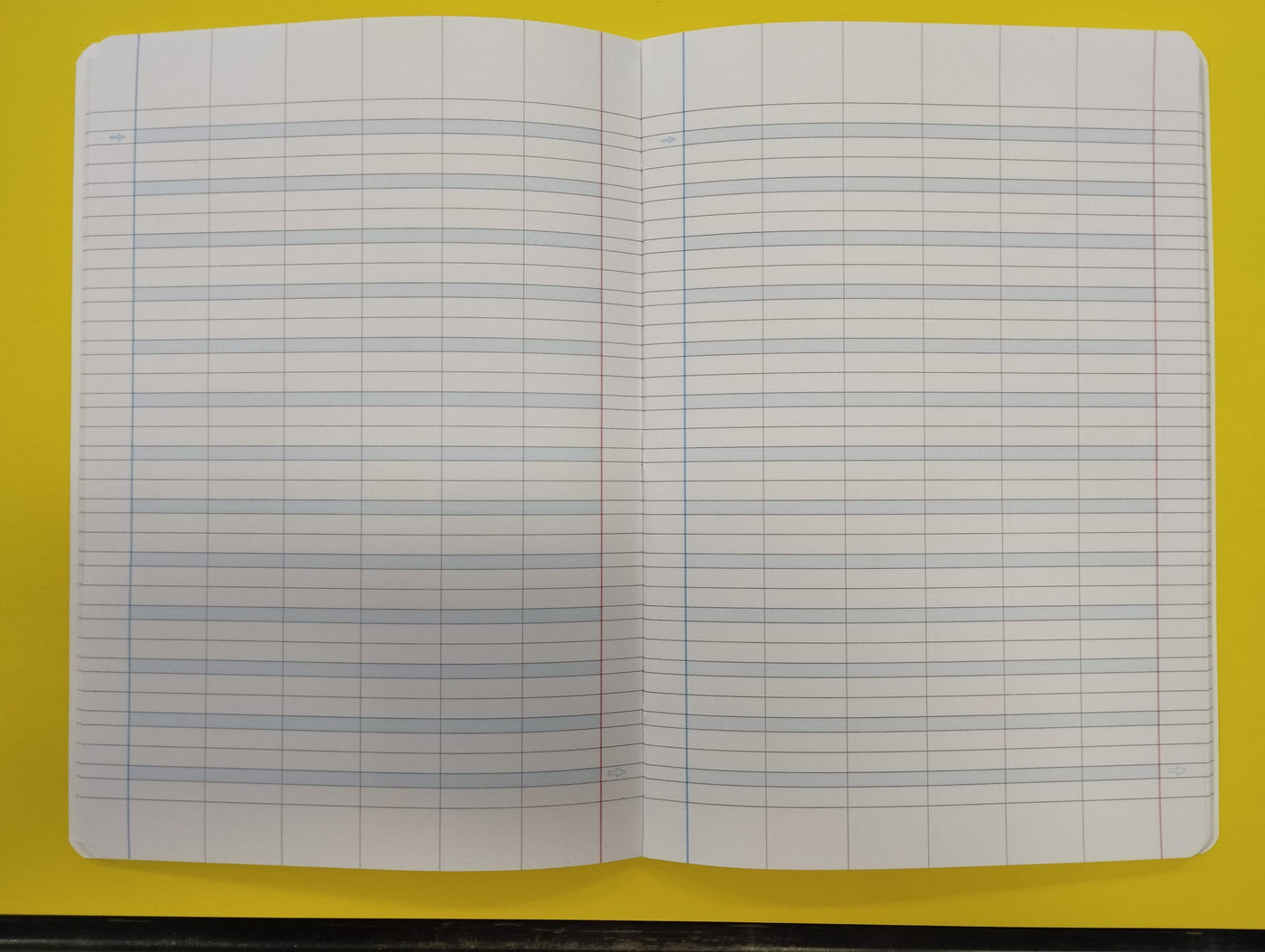 Quaderno A4 rigatura A