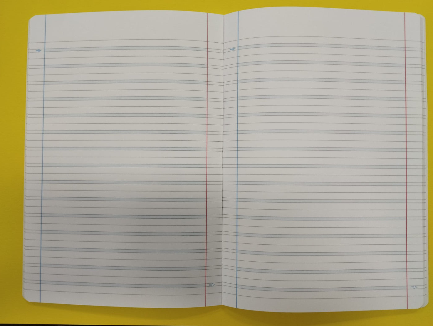 Quaderno A4 rigatura B