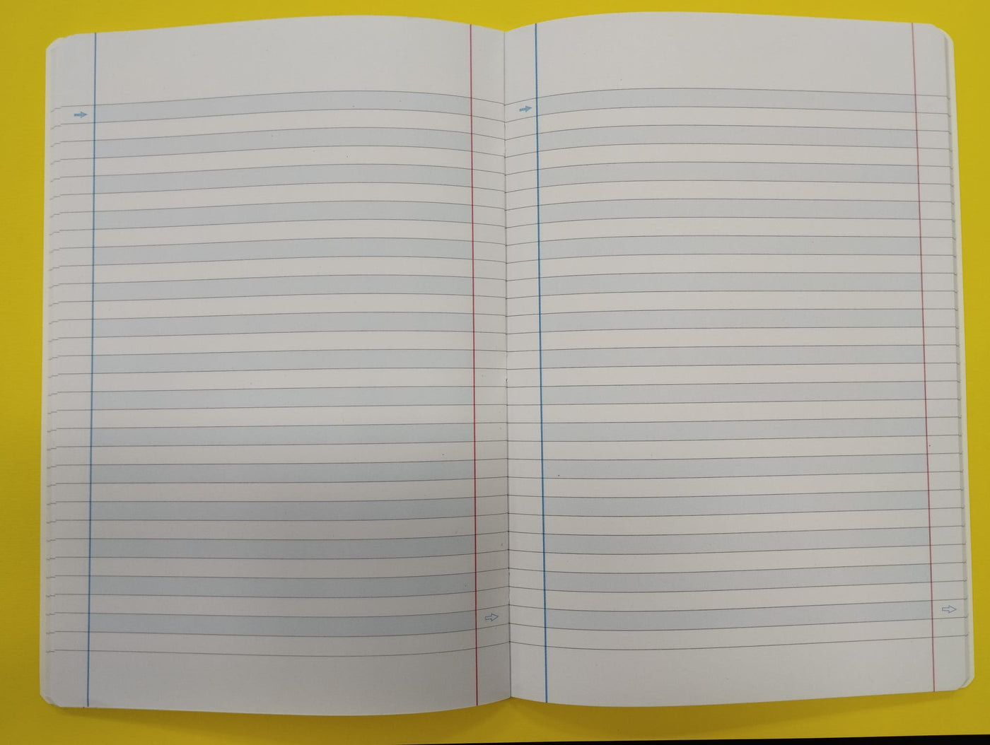 Quaderno A4 rigatura C