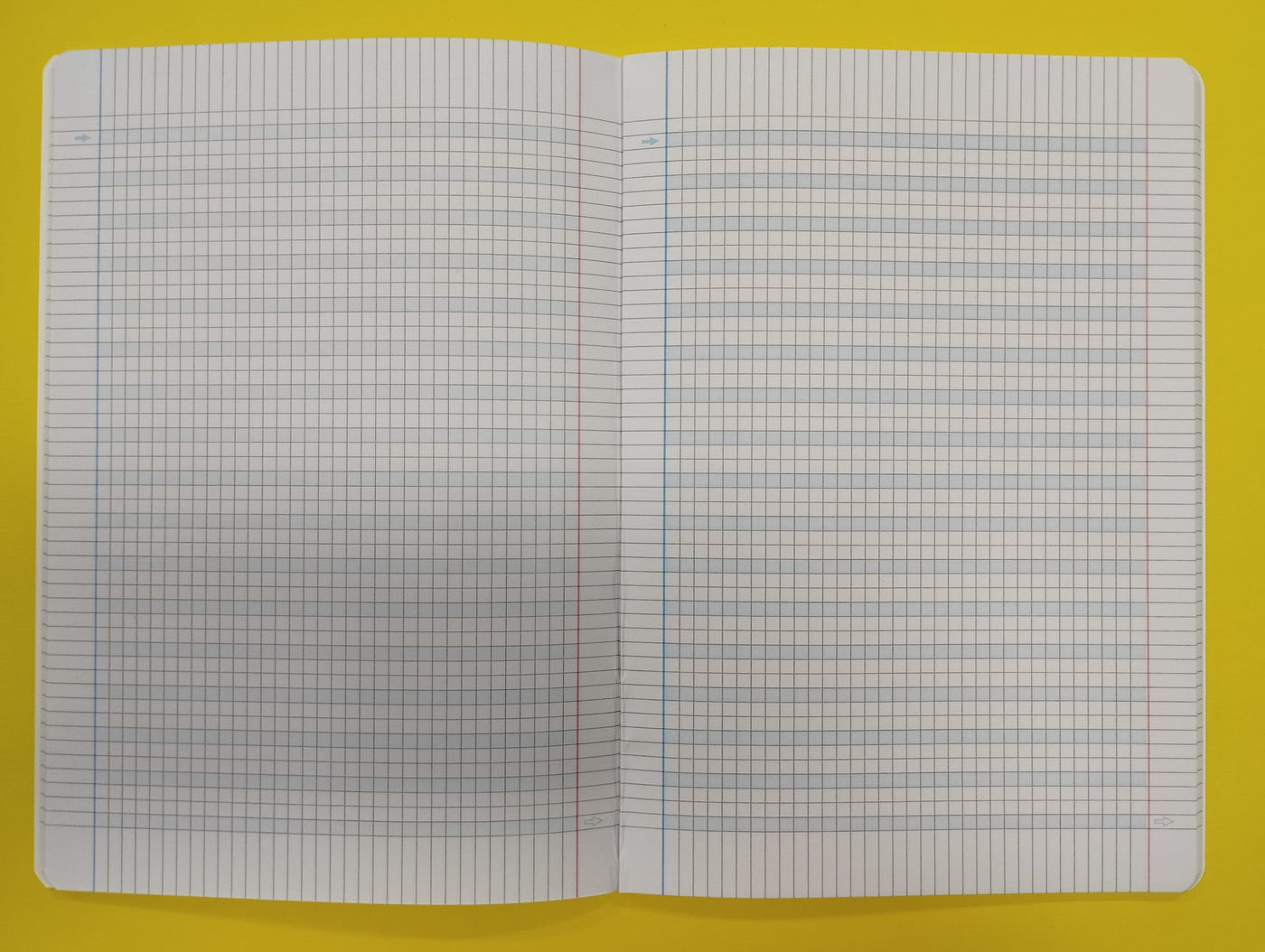 Quaderno A4 righe Q